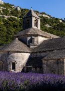 historic-abbey-of-senanque-and-blooming-lavender-f-2026-01-06-00-40-04-utc-scaled.jpg